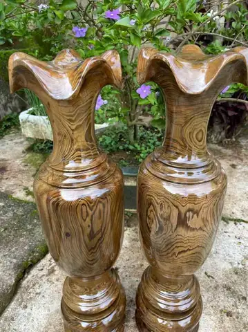 Lục Bình Gỗ Thủy Tùng Daklak