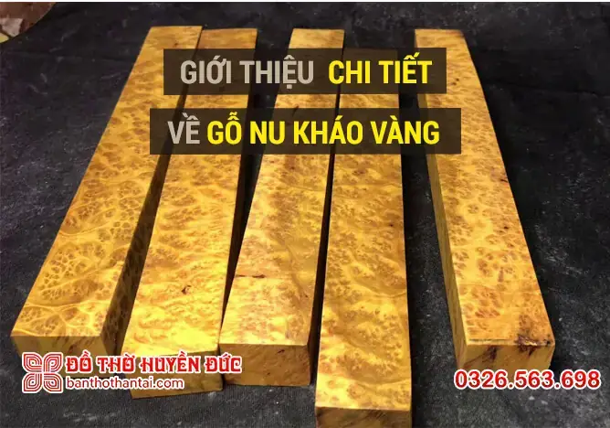 Lục Bình Nu Kháo Vàng