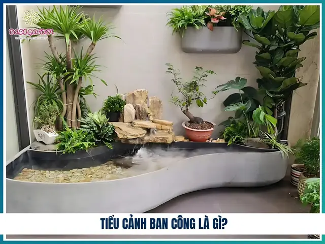 Mẫu Thiết Kế Tiểu Cảnh