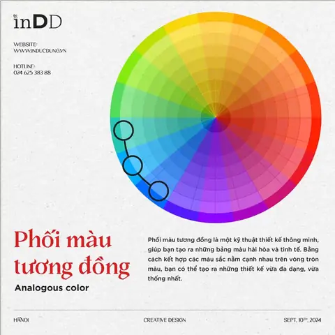 Màu Tương Đồng Là Gì