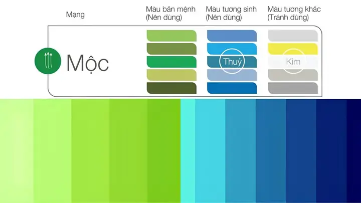 Mệnh Mộc Hợp Với Gì