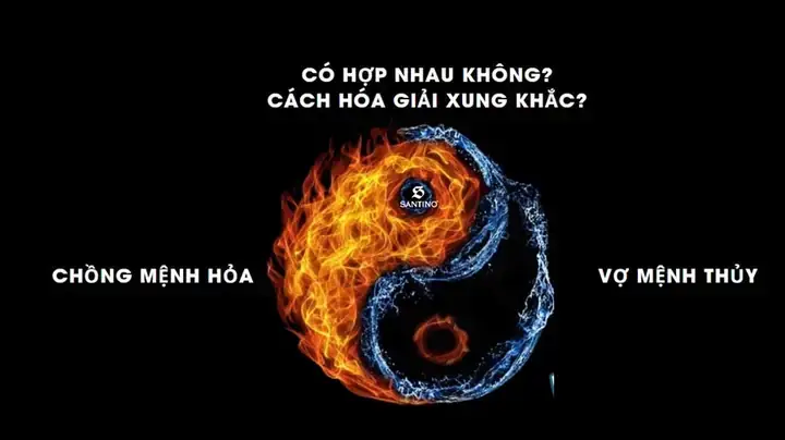 Mệnh Thuỷ Có Hợp Với Gỗ Không