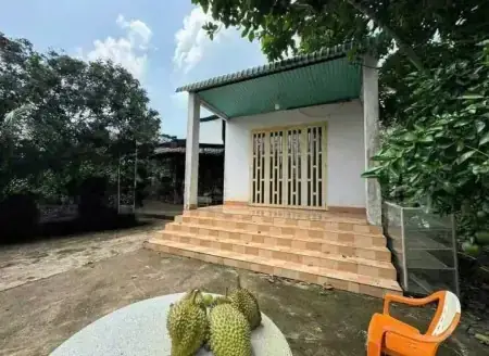 Mua Nha Cap 4 Gia Re O Binh Duong