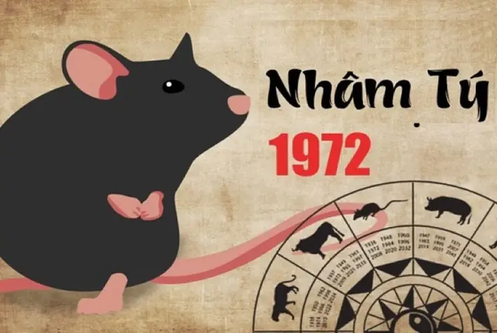 Nam Sinh 1972 Hợp Hướng Nào