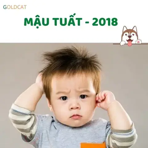 Nam Sinh Năm 2018 Hợp Hướng Nào