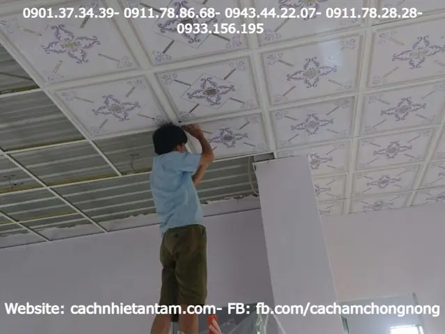 Nhựa Trần Nhà Giá Bao Nhiêu