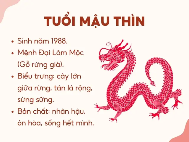 Nữ Mậu Thìn 1988 Mệnh Gì