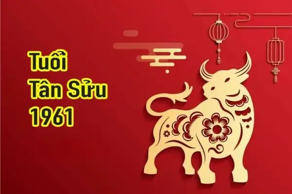Nữ Sinh Năm 1961 Hợp Hướng Nào