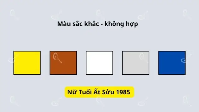 Nữ Tuổi Ất Sửu Hợp Màu Gì