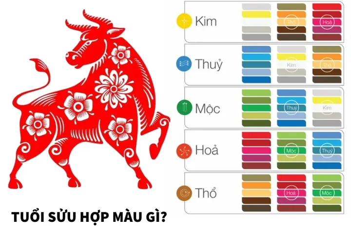 Nữ Tuổi Ất Sửu Hợp Màu Gì