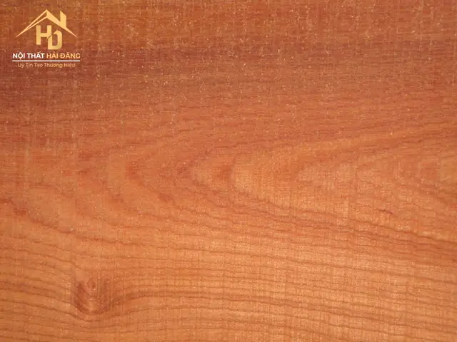 Phân Biệt Gỗ Xoan Đào Và Xoan Ta