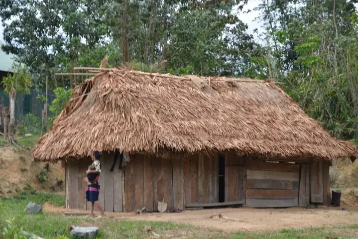 Phan Loai Nha O Viet Nam