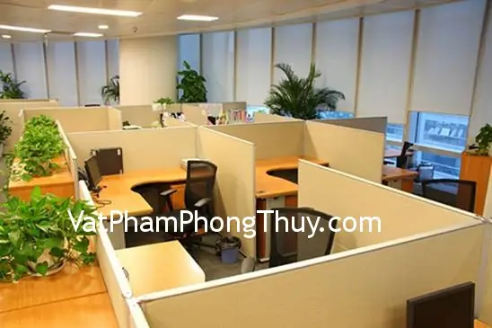 Phong Thủy Nơi Làm Việc