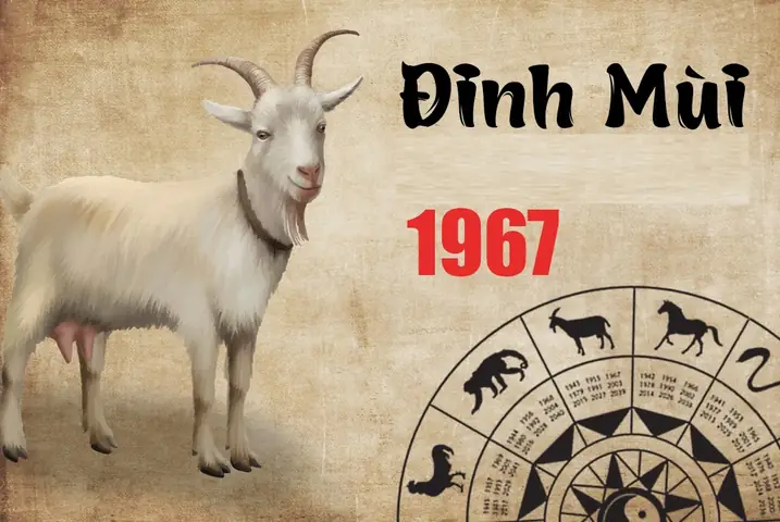 Phong Thủy Phòng Ngủ Tuổi Đinh Mùi