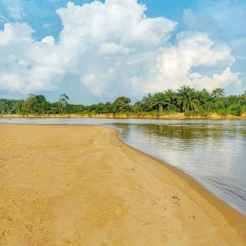 Sa Trung Thổ Hợp Màu Gì
