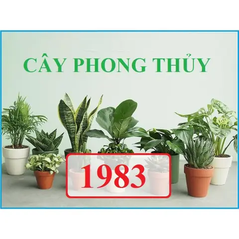 Sinh Năm 1983 Hợp Cây Gì