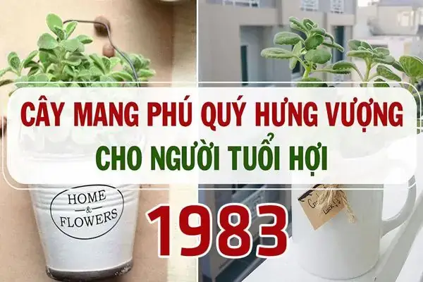 Sinh Năm 1983 Hợp Cây Gì