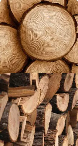 So Sánh Gỗ Cao Su Và Gỗ Thông