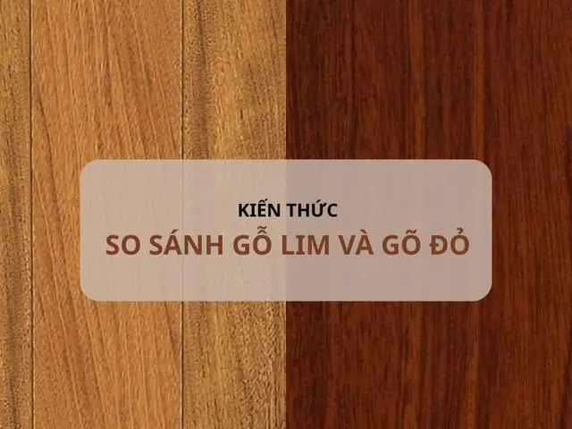 So Sánh Gỗ Lim Và Gõ Đỏ