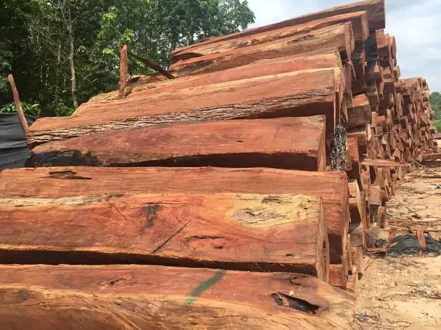 So Sánh Gỗ Xoan Đào Và Căm Xe