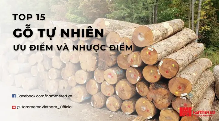 Tên Các Loại Cây Gỗ