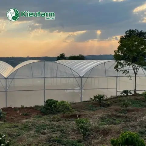 Thiết Kế Thi Công Nhà Kính