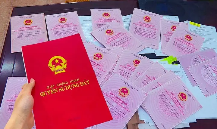 Thue Chap Nha 200 Trieu