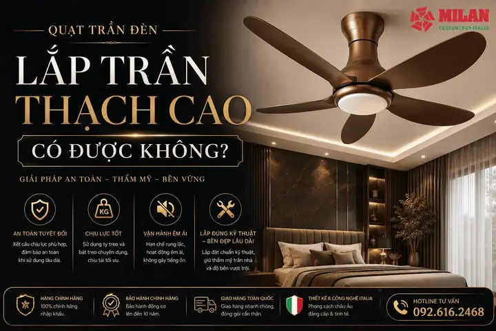 Trần Thạch Cao Hàng Nào Tốt