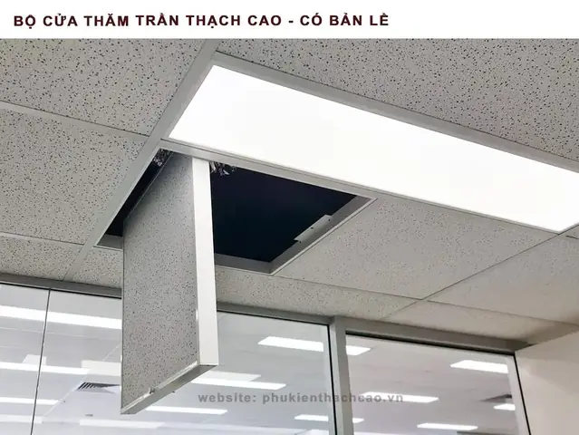 Trần Thạch Cao Lê Trần