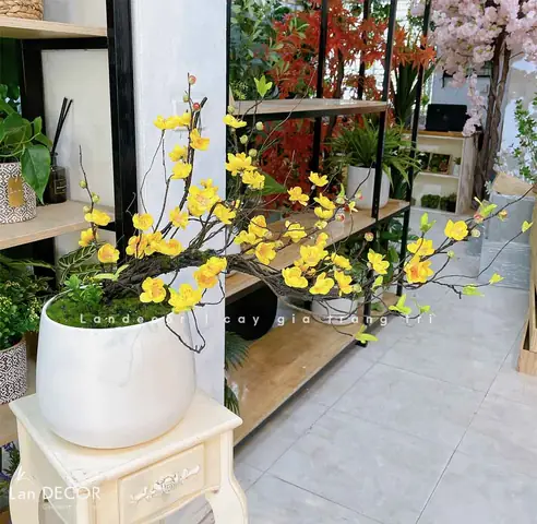 Trang Trí Nhà Đón Năm Mới