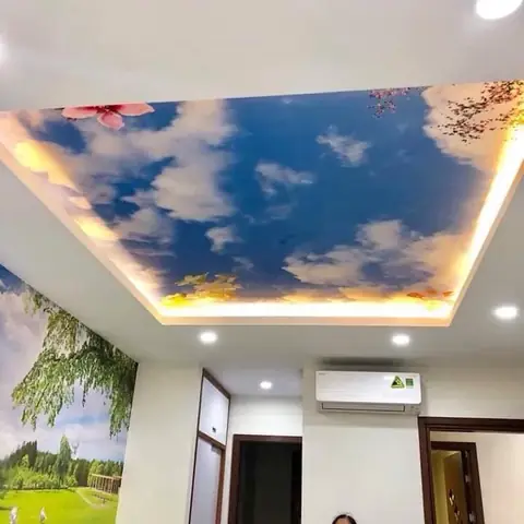 Tranh Dán Trần Phòng Ngủ