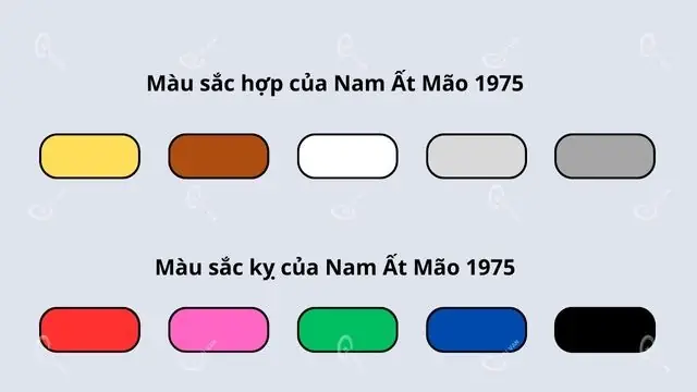 Tuổi Ất Mão Sinh Năm 1975 Hợp Màu Gì