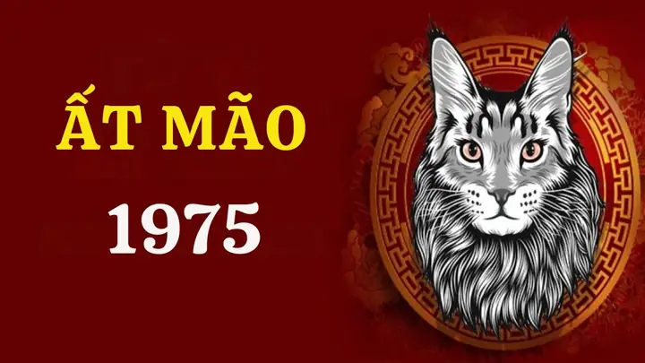 Tuổi Ất Mão Sinh Năm 1975 Hợp Màu Gì