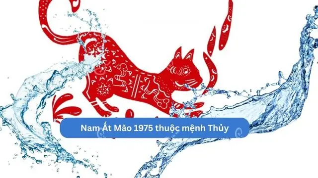 Tuổi Ất Mão Sinh Năm 1975 Hợp Màu Gì