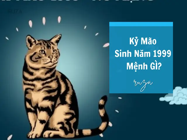 Tuổi Kỷ Mão Hợp Với Tuổi Nào