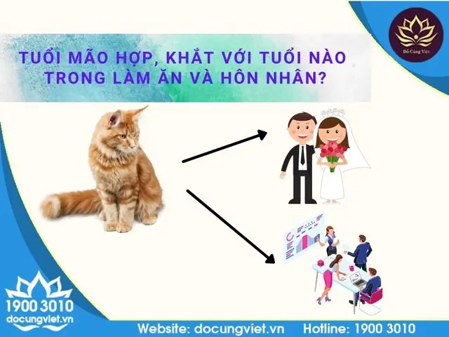 Tuổi Kỷ Mão Hợp Với Tuổi Nào