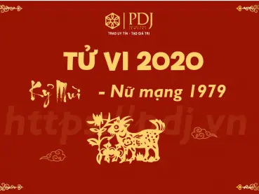Tuổi Kỷ Mùi Hợp Màu Gì Năm 2020