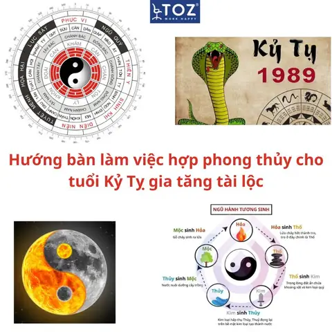 Tuổi Kỷ Tỵ Hợp Hướng Nào Làm Ăn