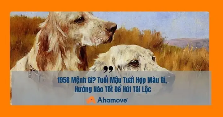 Tuoi Mau Tuat Hop Huong Nao