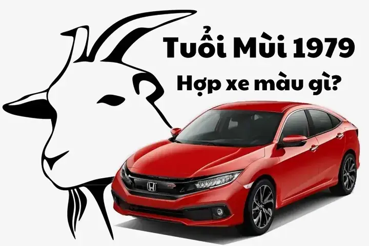 Tuổi Mùi 2019 Hợp Với Màu Gì