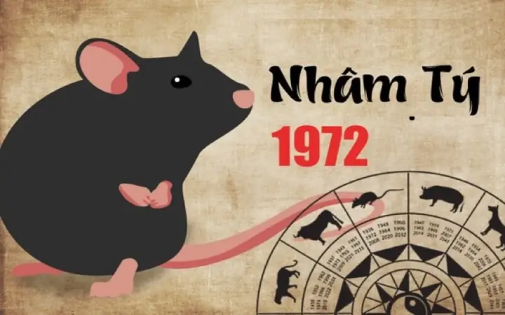 Tuổi Nhâm Tý Nữ Mạng Hợp Màu Gì