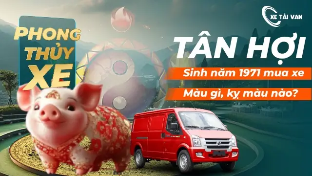 Tuổi Tân Hợi Nữ Mạng Hợp Màu Gì