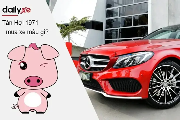 Tuổi Tân Hợi Nữ Mạng Hợp Màu Gì