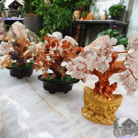 Vật Phẩm Phong Thủy Cho Tuổi Nhâm Tuất